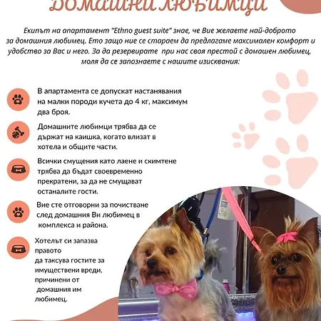 Appartement Ethno Guest