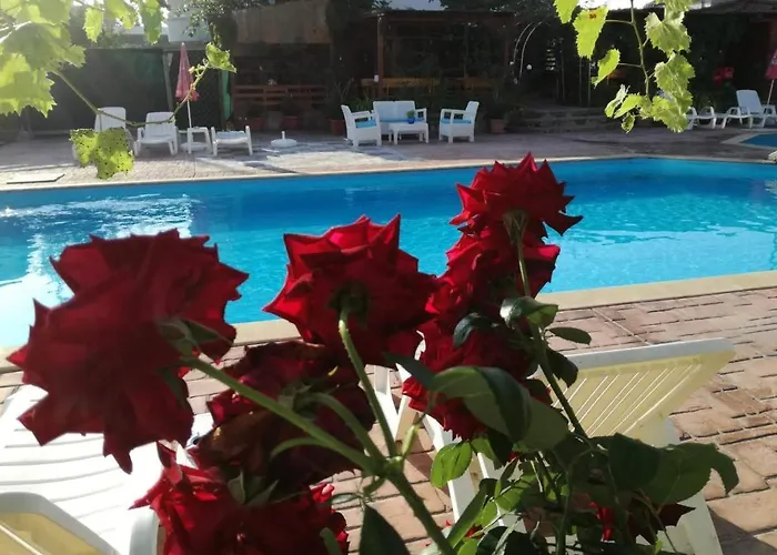 Ethno Guest Lejlighed